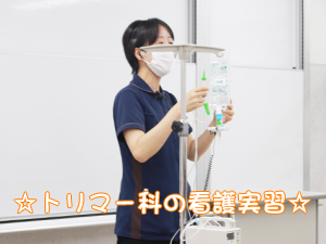 トリマー科も点滴の勉強☆